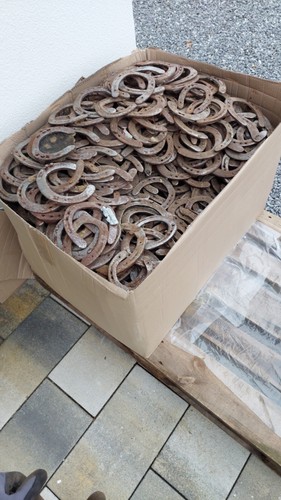 Hufeisen gebraucht stück - ,